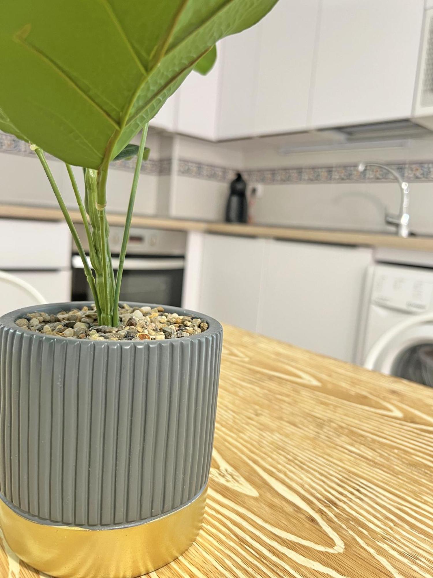 Apartament Puro Centro. 500M Del Mar. A/C Alicante Zewnętrze zdjęcie