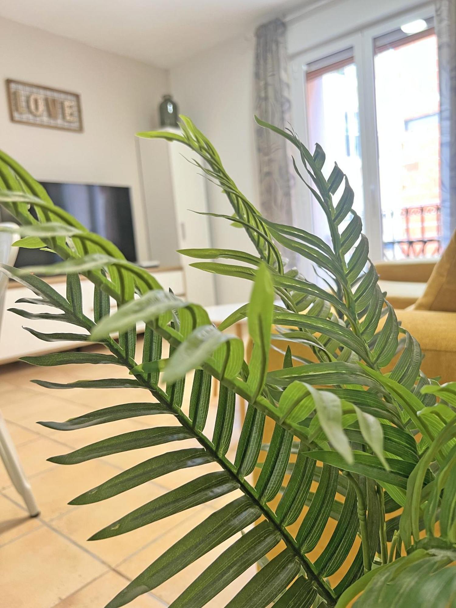 Apartament Puro Centro. 500M Del Mar. A/C Alicante Zewnętrze zdjęcie